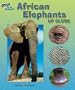 African Elephants Up Close (Zoom in on Animals!)