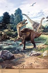 Baryonyx Walkerii & Brachiosaurus Poster