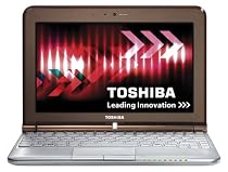 Toshiba NB305-106 10.1 inch Netbook (Atom N450 1.6GHz, 1Gb, 250Gb, 6 cell battery, WLAN, BT, Webcam, Win 7 Starter (Brown))