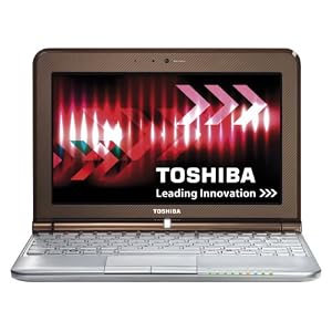 Toshiba NB305-106 netbook