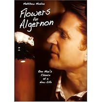 Streaming Flowers for Algernon Online.