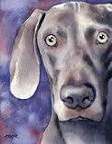 Weimaraner Dog Art Print Signed by Artist DJ Rogers