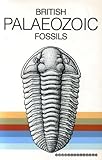 British Palaeozoic fossils