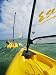 Small Cat-Rigged Boat Sailing off the Florida Keys Photographic Poster Print, 18x24
