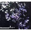 Brownswood Electric