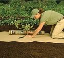 Easy Gardener 701 WeedBlock Biodegradable Paper Mulch - 3-Foot x 25-Foot