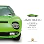 Lamborghini: A Celebration of an Italian legend (Haynes Great Cars Series)