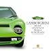 Lamborghini: Miura Countach Diablo Murcielago (Haynes Great Cars)