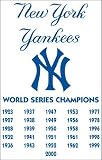 MLB New York Yankees- 26 time champs Applique Banner Flag