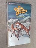 The running foxes