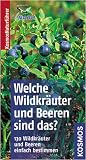 Welche Wildkräuter und Beeren sind das?: 130 Wildkräuter und Beeren einfach bestimmen. Basic