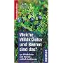 Welche Wildkr�uter und Beeren sind das?: 130 Wildkr�uter und Beeren einfach bestimmen. Basic