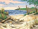 Beauty of the Beach PBN