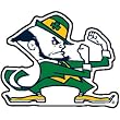 Notre Dame Fighting Irish NCAA Precision Cut Magnet by Wincraft