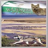 The Wolves of Labrador