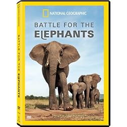 Battle For The Elephants