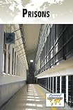 Prisons (Current Controversies)
