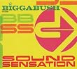 Biggabush-Sound Sensation