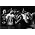 Thumbnail image of The Roots