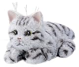 夢こねこ アメリカンショートヘア の評価・レビュー