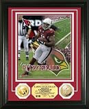 NFL Arizona Cardinals 24KT Gold Coin Photo Mint