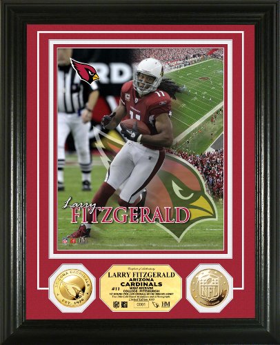 NFL Arizona Cardinals 24KT Gold Coin Photo Mint