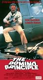The Domino Principle [VHS]