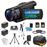 Sony FDRAX100B