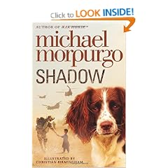 Shadow