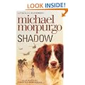 Shadow