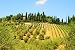 Wallmonkeys Peel and Stick Wall Decals - Hill of Tuscany - Removable Graphic