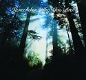 Meditations from the Akashic Records