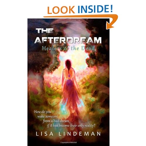 The Afterdream: Healers of the Dead: How do you wake someone from a bad dream if it has become their only reality?