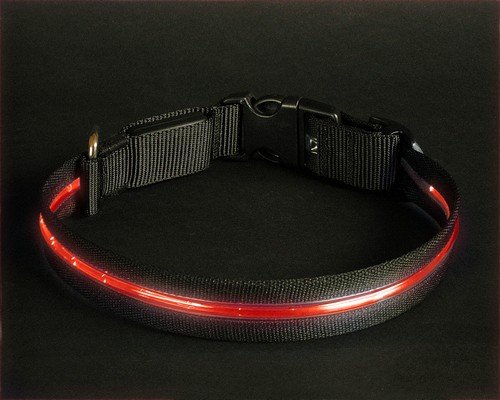 Halsband Leuchthalsband Hunde M rot