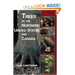 Trees of the Northern United States and Canada