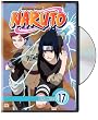 Naruto Vol. 17