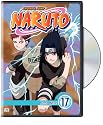 Naruto Vol. 17