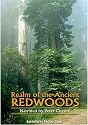 Realm of the Ancient Redwoods