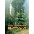 Realm of the Ancient Redwoods