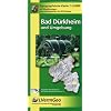 Bad D�rkheim und Umgebung 1 : 25 000. Naturparkkarte P6: Mit Wanderwegen