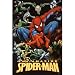 All Products : Spider-Man (Spider-Man & Villains) Art Poster Print - 24x36