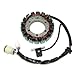 ElectroSport ESG479 Stator Yamaha YFM400