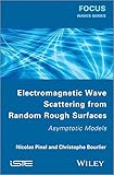 Electromagnetic wave scattering from random rough surfaces : asymptotic models