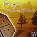 Elegance of Hammered Dulcimer