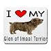 terrier47 - I Love My Glen of Imaal Terrier