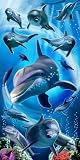 Dolphins Underwater Scene Terry Velour Beach/Bath Towel