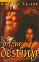Divine Destiny (Noire Passion)
