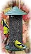 WoodLink Mini Magnum Nyjer Bird Feeder