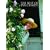 The Best of Eva Cassidy: (piano,Vocal,Guitar) (Pvg)