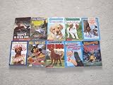 BILL WALLACE Set of 10 books (Watchdog and Coyotes/Danger in Quicksand Swamp/Danger on Panther Peak/Pick of Litter/Trapped in Death Cave/Blackwater Swamp/No Dogs Allowed!/Red Dog/Dog Called KITTY/Upchuck and Rotten Willy Great Escape)